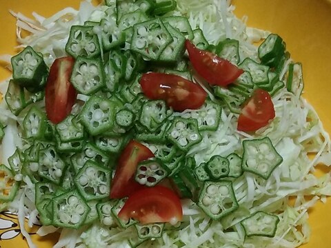 キャベツとオクラの生野菜サラダ☆彡
